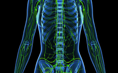 What is the Lymphatic System and Tips to Improve It